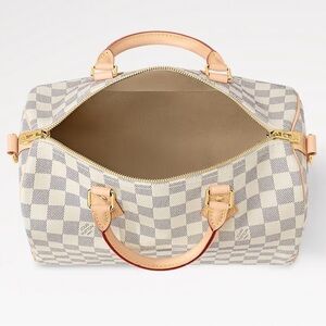 Louis Vuitton speedy 30 Damien Azur